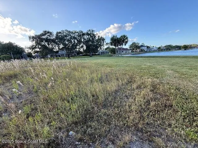 a view of a park with tree s