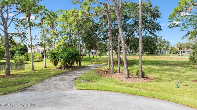 a view of backyard with tree