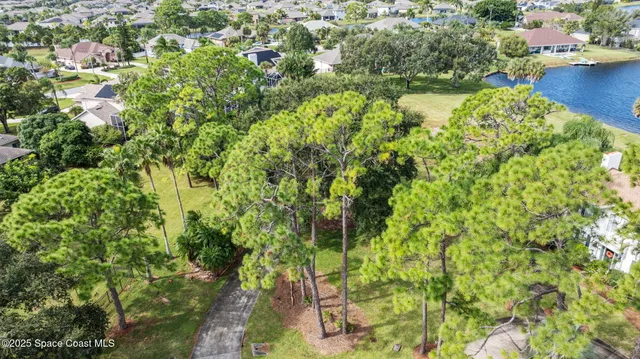 a view of a garden with plants