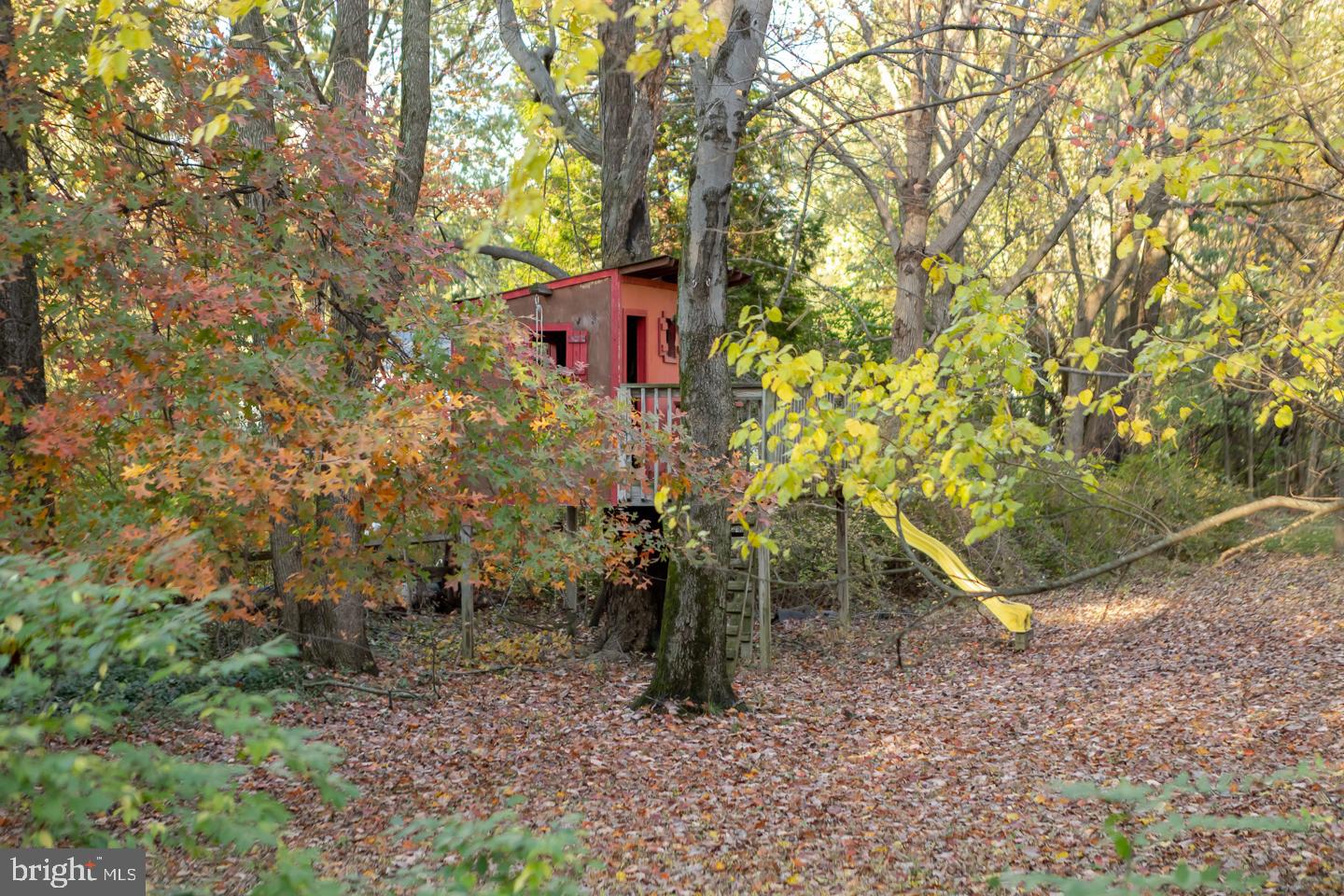 Your very own tree house!!!
