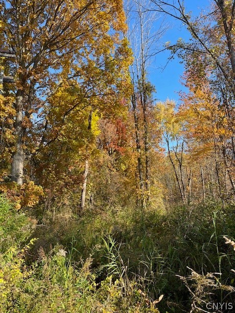 West 11th Street Fulton, NY 13069 - Photo 2 of 11