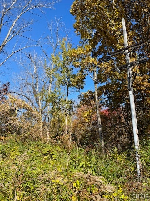 West 11th Street Fulton, NY 13069 - Photo 3 of 11