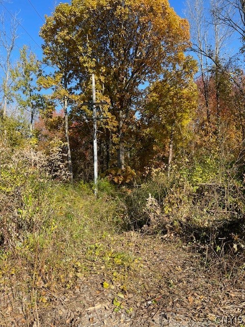 West 11th Street Fulton, NY 13069 - Photo 5 of 11