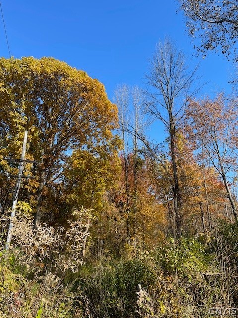 West 11th Street Fulton, NY 13069 - Photo 7 of 11