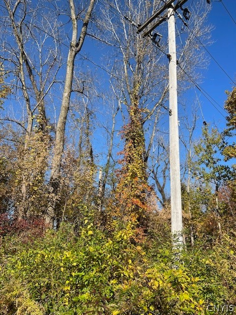 West 11th Street Fulton, NY 13069 - Photo 9 of 11