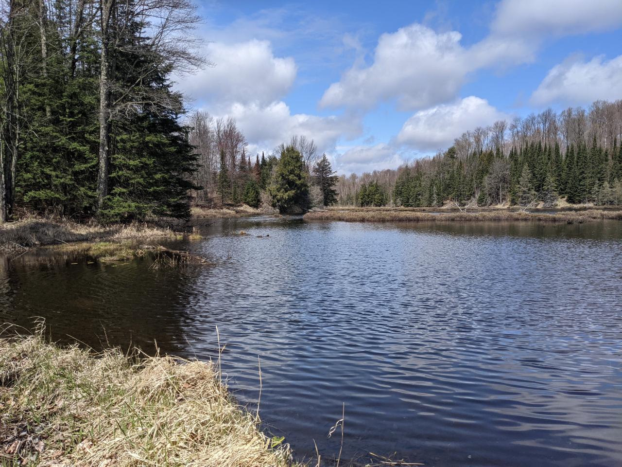W3023 Cth Rr Ogema, WI 54459 - Photo 27 of 27 Gallery Image 27