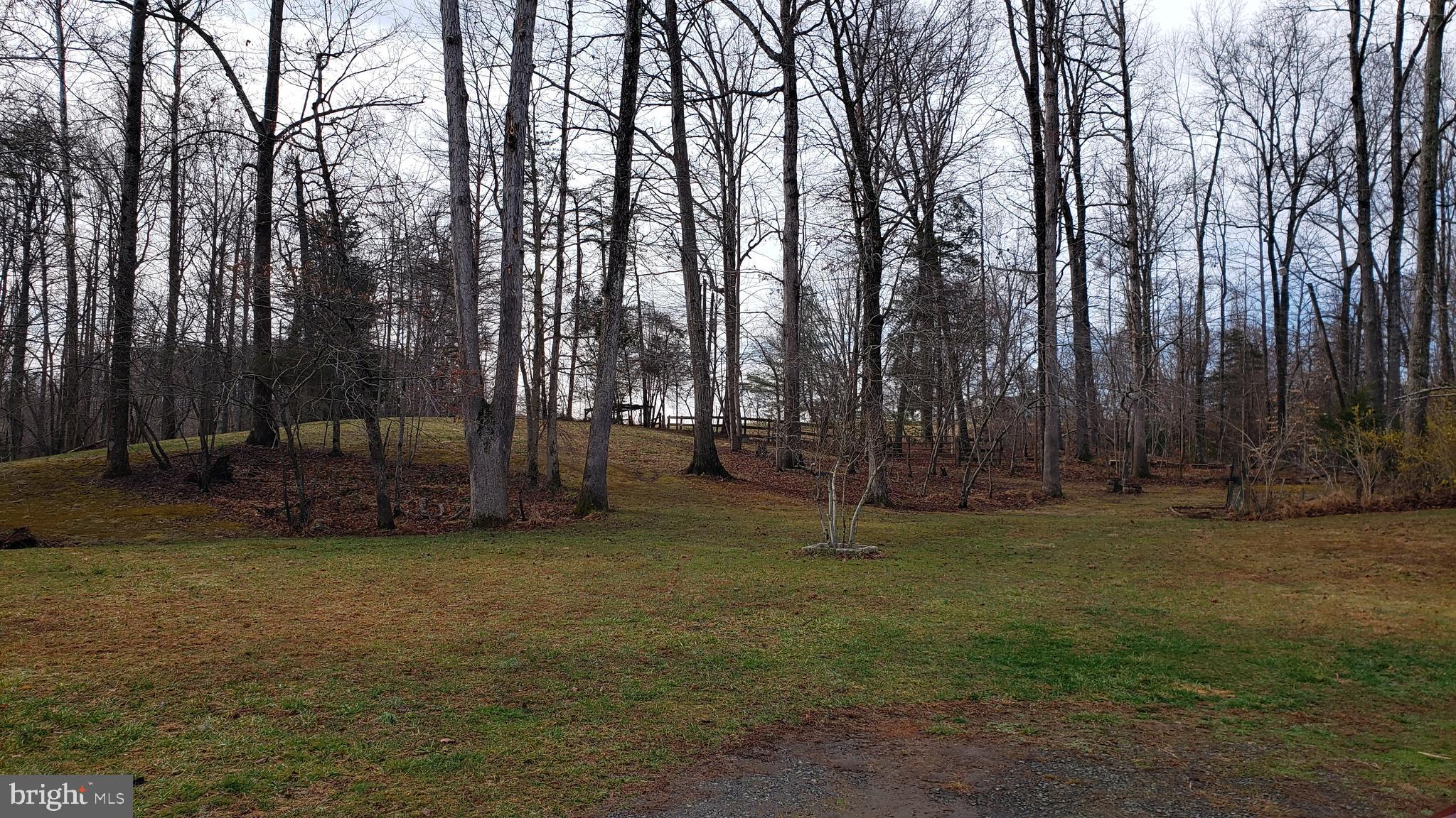 21 Hoy Road Stafford, VA 22556 - Photo 13 of 17 Back Yard Wooded View 1