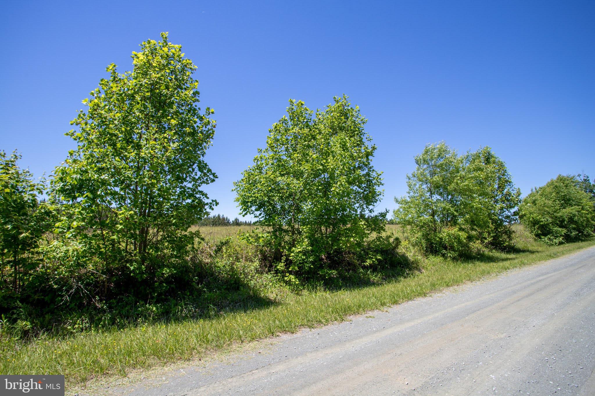 Tbd Tbd Appletree, Unit 9J Sandy Level, VA 24161 - Photo 28 of 32