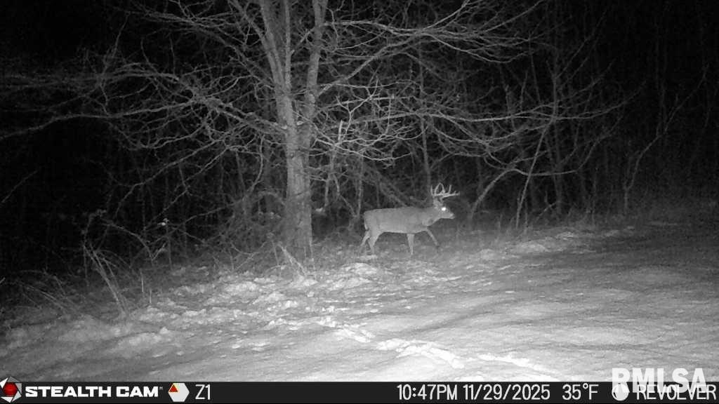7505 Clayton Road Virginia, IL 62691 - Photo 7 of 8 Gallery Image 7