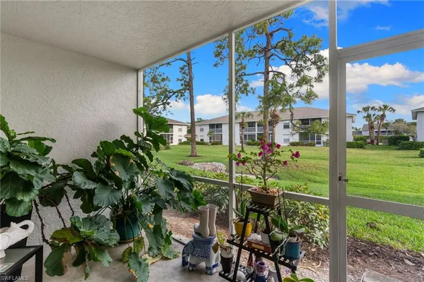 a view of a potted plants on a yard
