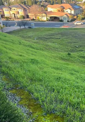 a view of yard with outdoor space