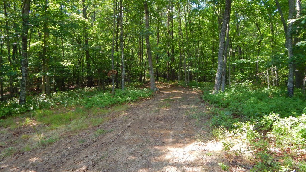 14.89-ac Hot House Road Murphy, NC 28906 - Photo 18 of 19