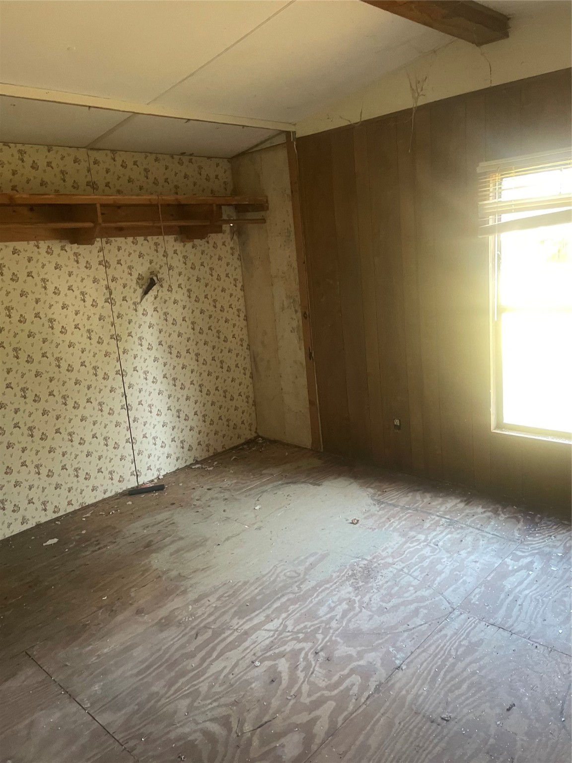 184 Mercury Trinity, TX 75862 - Photo 14 of 16 a view of an empty room