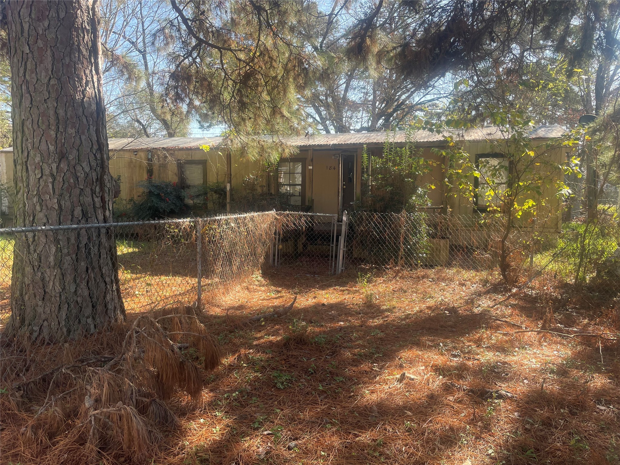184 Mercury Trinity, TX 75862 - Photo 7 of 16 a backyard of a house with lots of green space