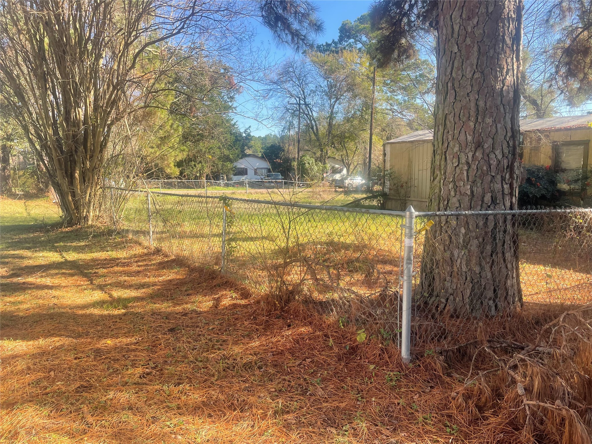 184 Mercury Trinity, TX 75862 - Photo 8 of 16 a view of a lake view