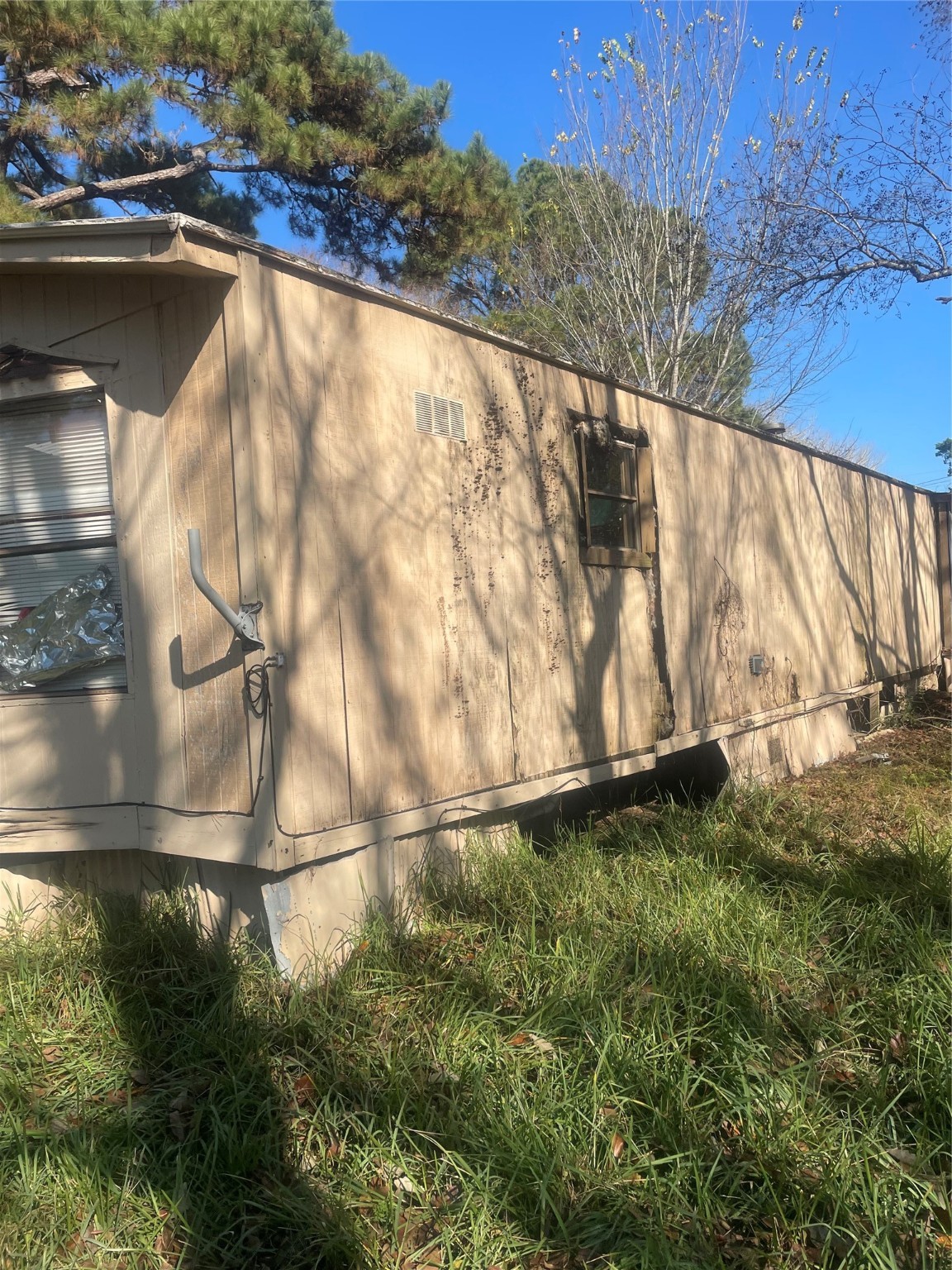 184 Mercury Trinity, TX 75862 - Photo 10 of 16 a backyard of a house with lots of green space