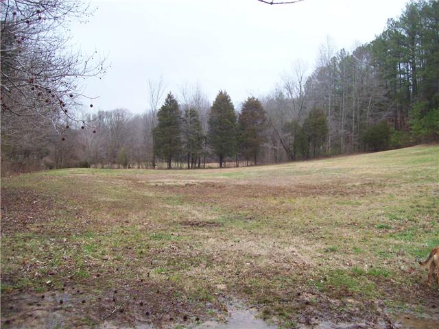 2473 Trace Creek Road Centerville, TN 37033 - Photo 14 of 20 Gallery Image 14