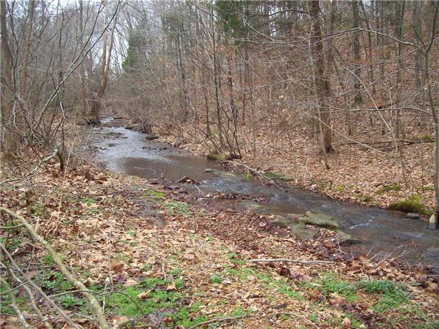 2473 Trace Creek Road Centerville, TN 37033 - Photo 8 of 20 Gallery Image 8
