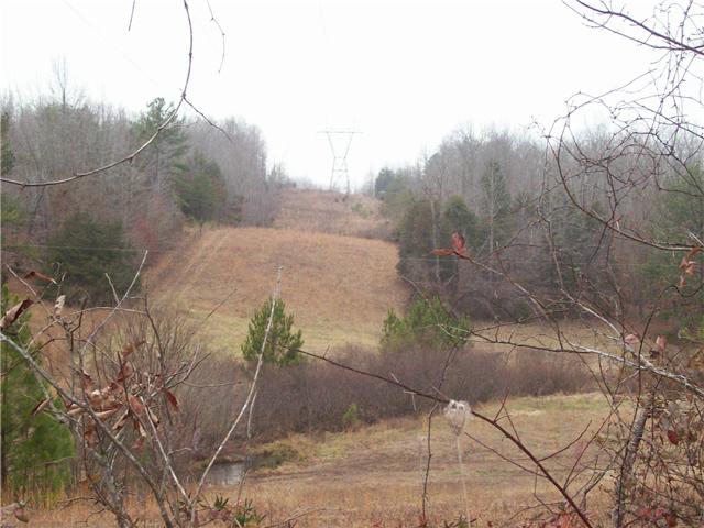 2473 Trace Creek Road Centerville, TN 37033 - Photo 10 of 20 Gallery Image 10