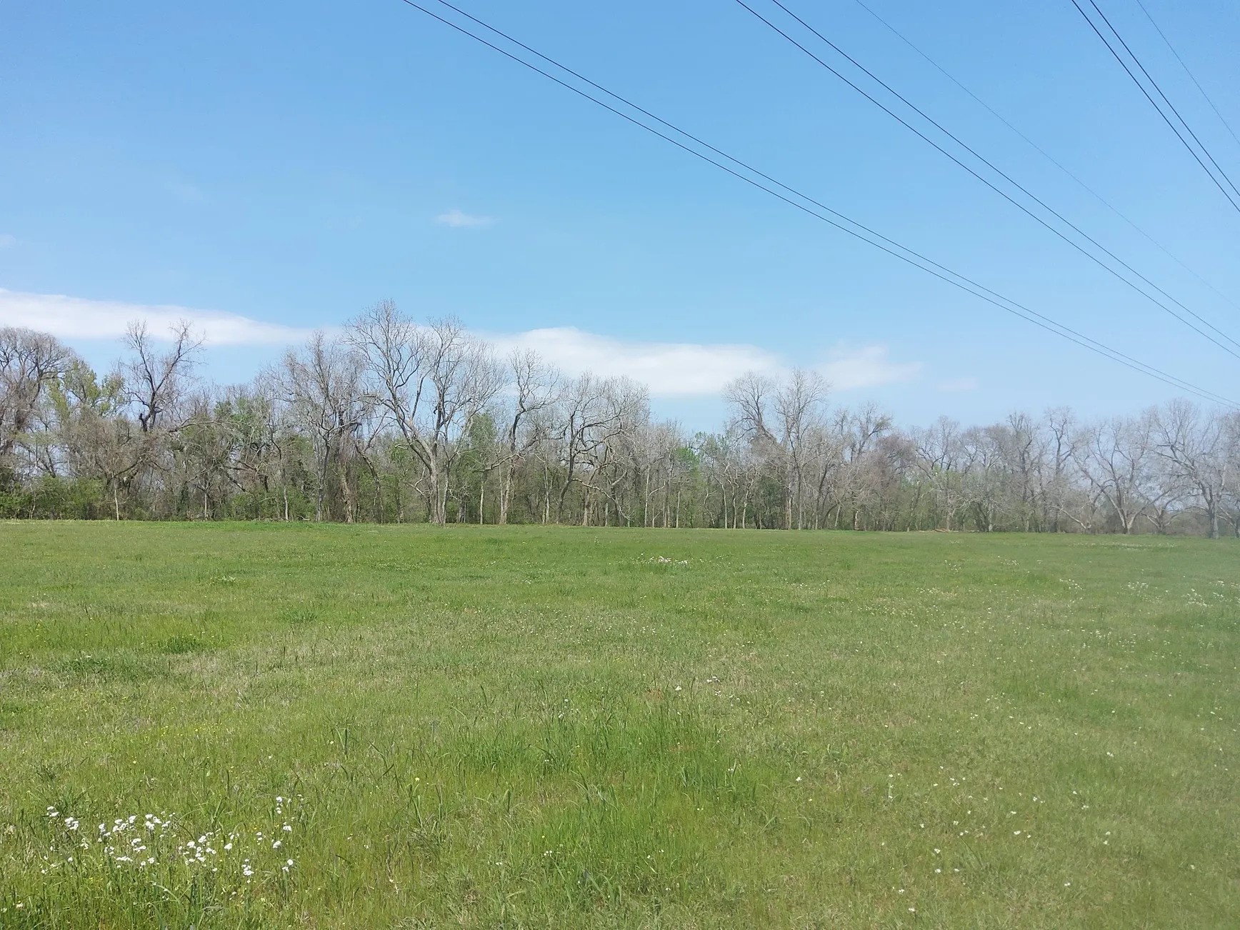 Lot 1 FM 521 Road Angleton, TX 77515 - Photo 26 of 34