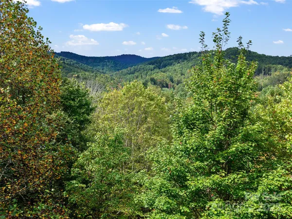 a view of a city with lush green forest