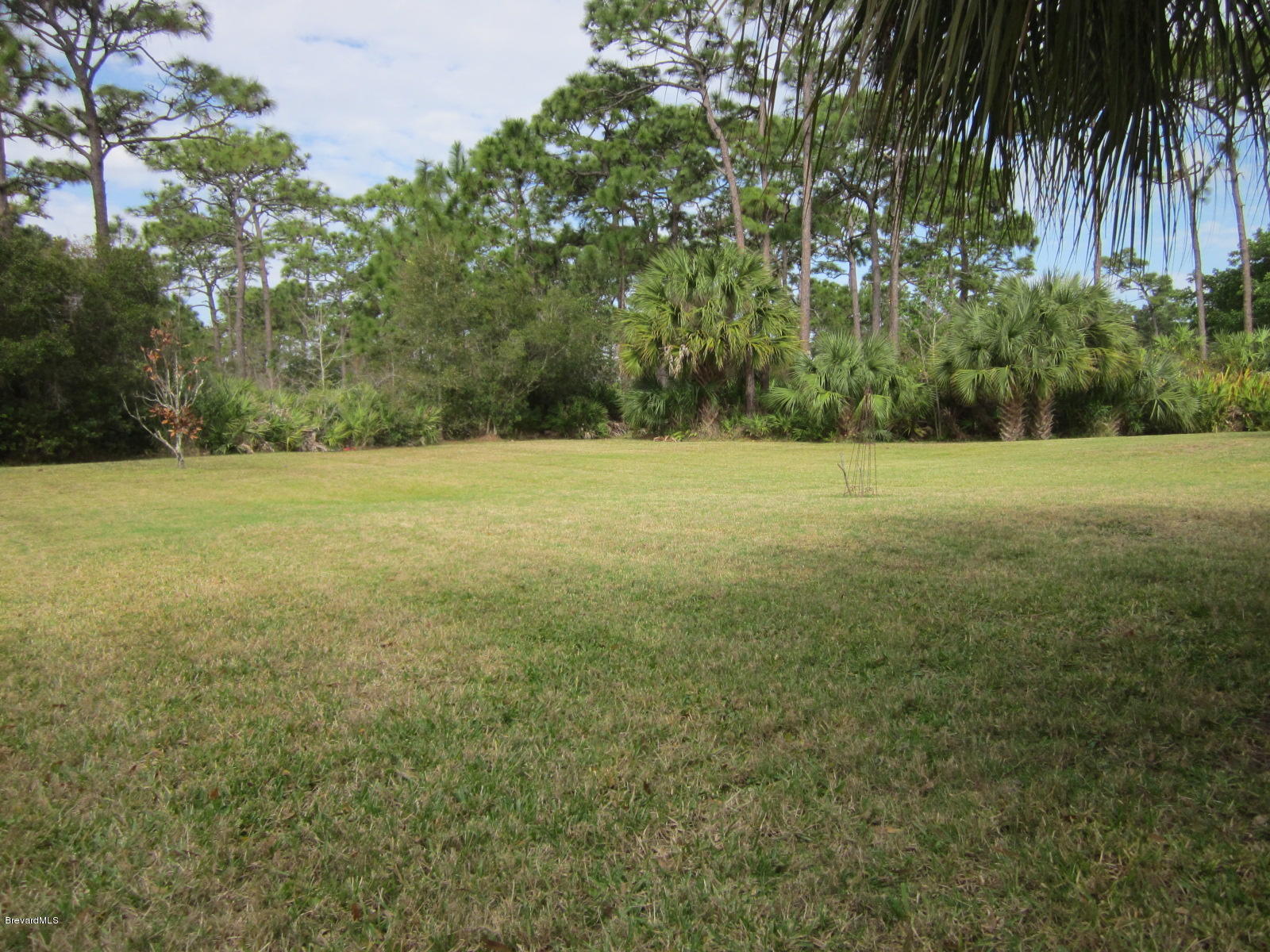 4270 Windover Way Melbourne, FL 32934 - Photo 6 of 11 IMG_2052