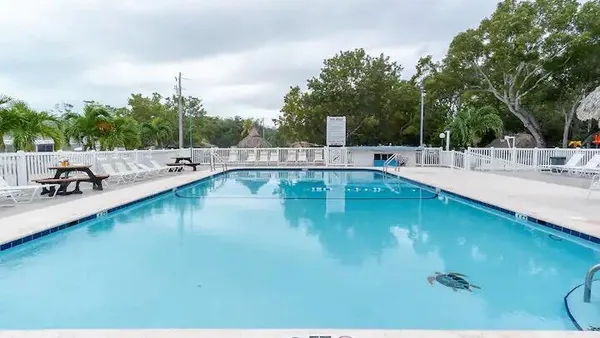 a view of a swimming pool with a yard