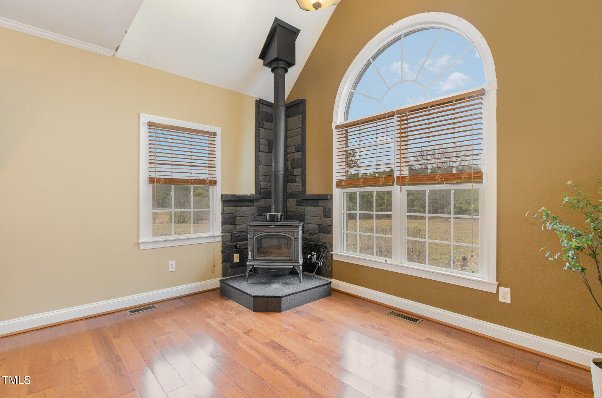 2101 Emerson Cook Road Pittsboro, NC 27312 - Photo 4 of 27 Wood burning Stove