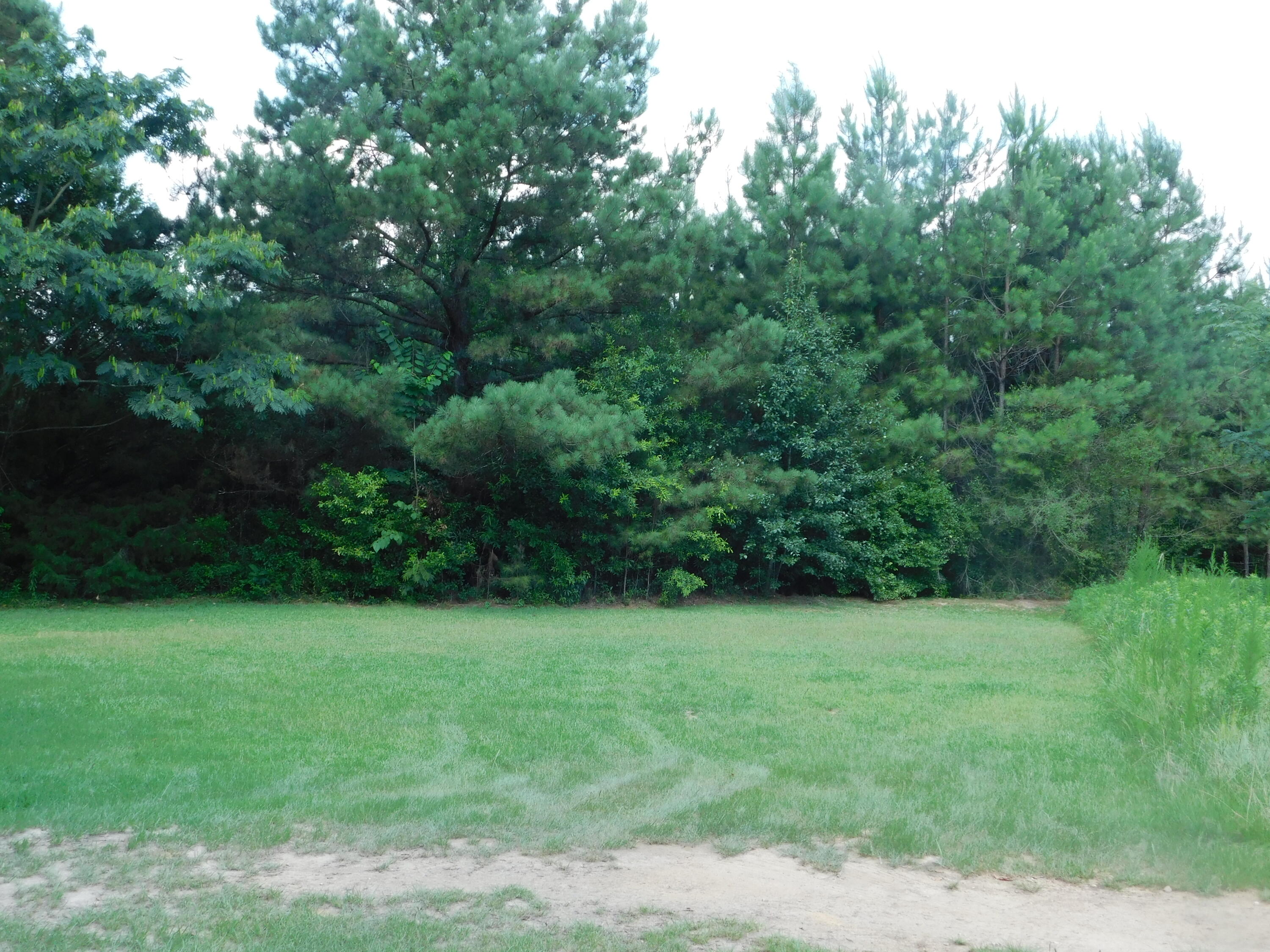 Xxx Ramsey McQueen Road Collins, MS 39428 - Photo 7 of 7 Gallery Image 7