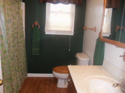 1485 Mcdaniel Road Clarksville, TN 37043 - Photo 9 of 20 Full bath (main level). Although the bath is plenty spacious, with the plumbing that has been done in the utility area downstairs, the option of adding a half bath or second full bath is entirely possible.