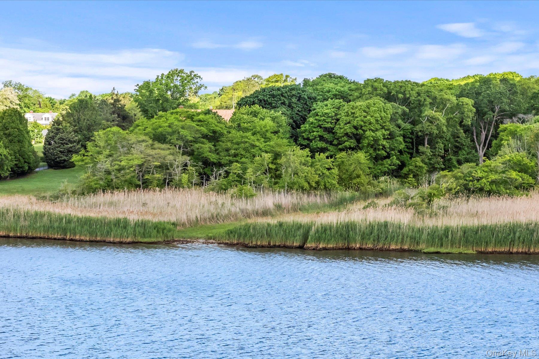 198 South Country Road Bellport, NY 11713 - Photo 15 of 19