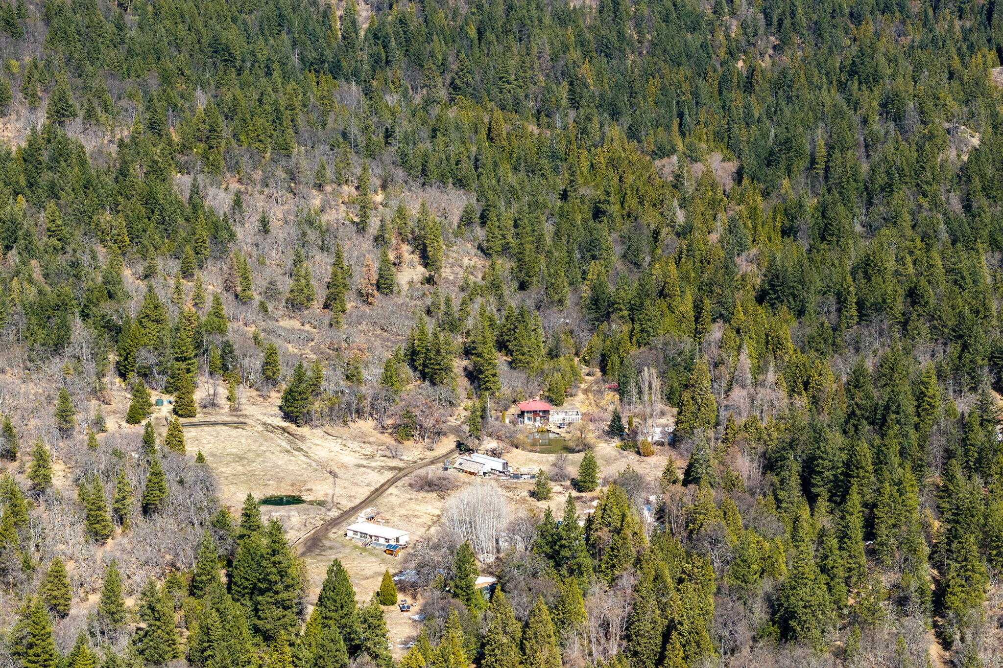 2000 Colestin Road Ashland, OR 97520 - Photo 7 of 17 07