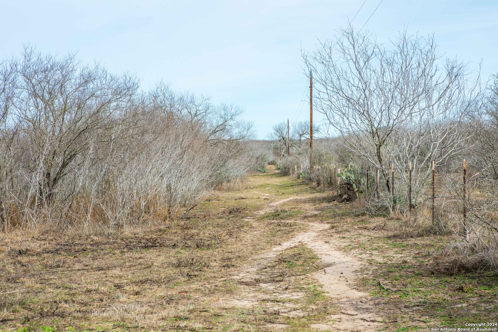 8684 Mineral Cemetery Road Beeville, TX 78102 - Photo 12 of 38 a view of backyard of the house