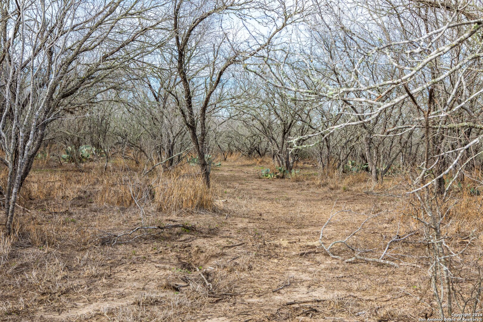8684 Mineral Cemetery Road Beeville, TX 78102 - Photo 13 of 38 a view of empty yard with trees