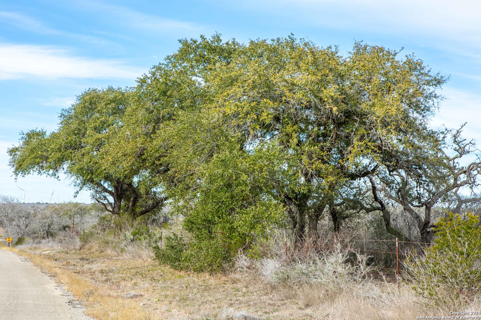 8684 Mineral Cemetery Road Beeville, TX 78102 - Photo 21 of 38 a view of a yard