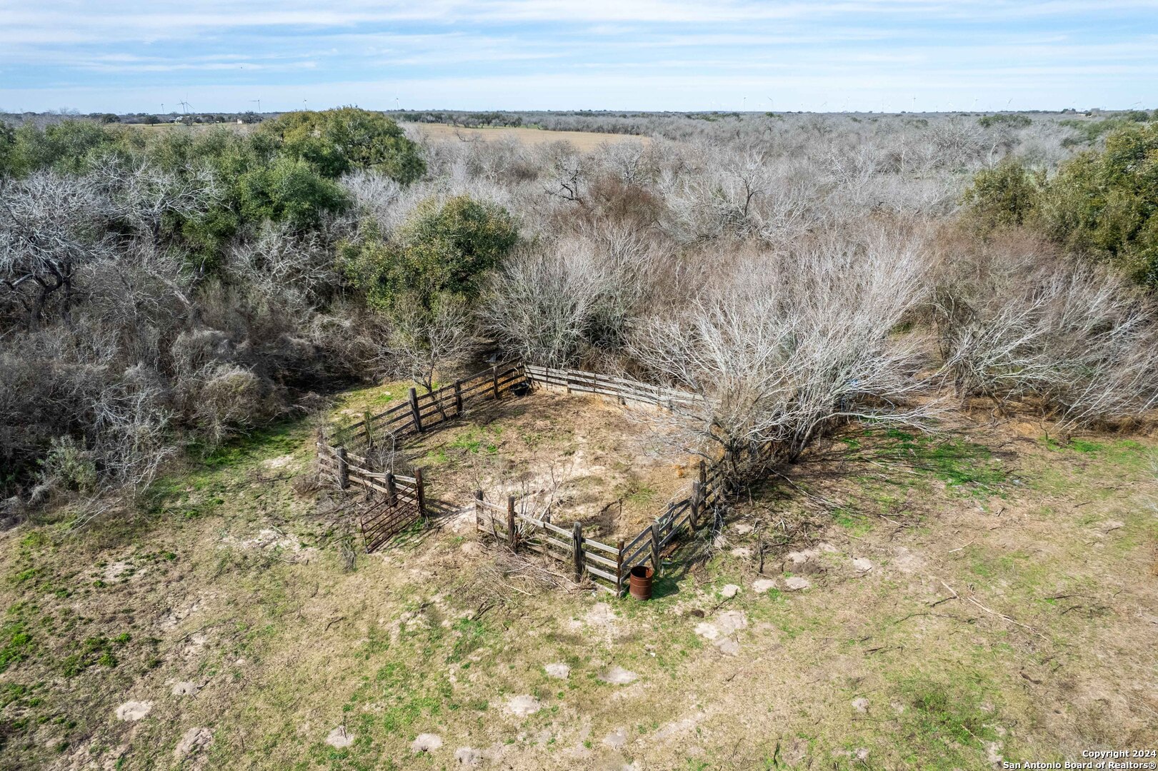 8684 Mineral Cemetery Road Beeville, TX 78102 - Photo 26 of 38 a view of a yard with trees in the background