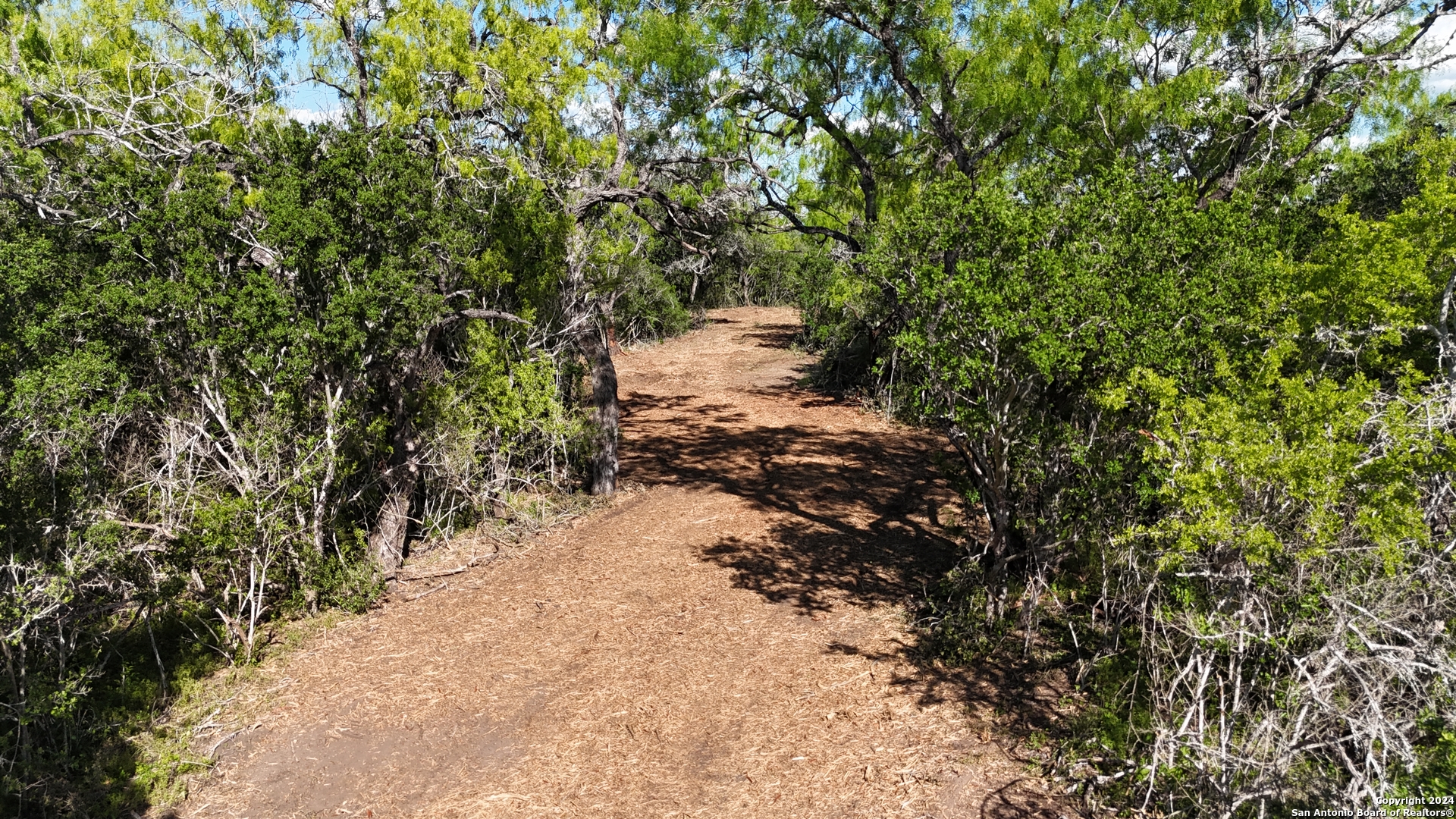 8684 Mineral Cemetery Road Beeville, TX 78102 - Photo 34 of 38 a view of a pathway both side of yard