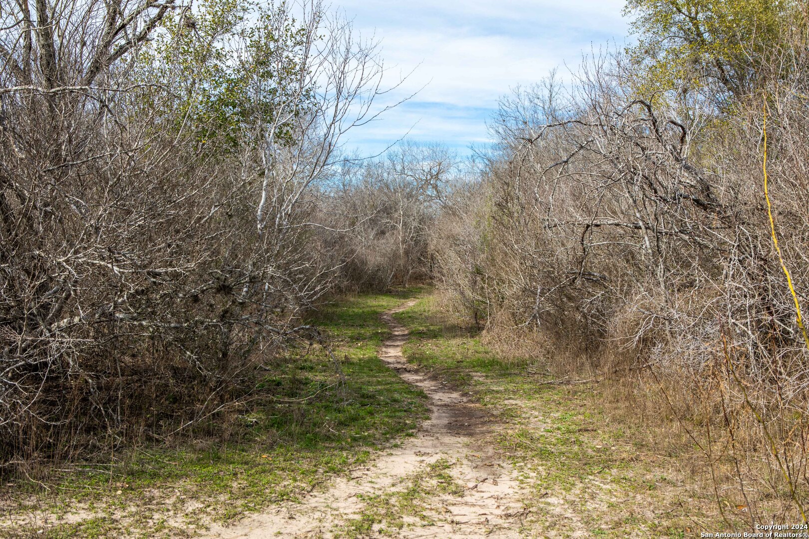 8684 Mineral Cemetery Road Beeville, TX 78102 - Photo 5 of 38 a view of a lake view