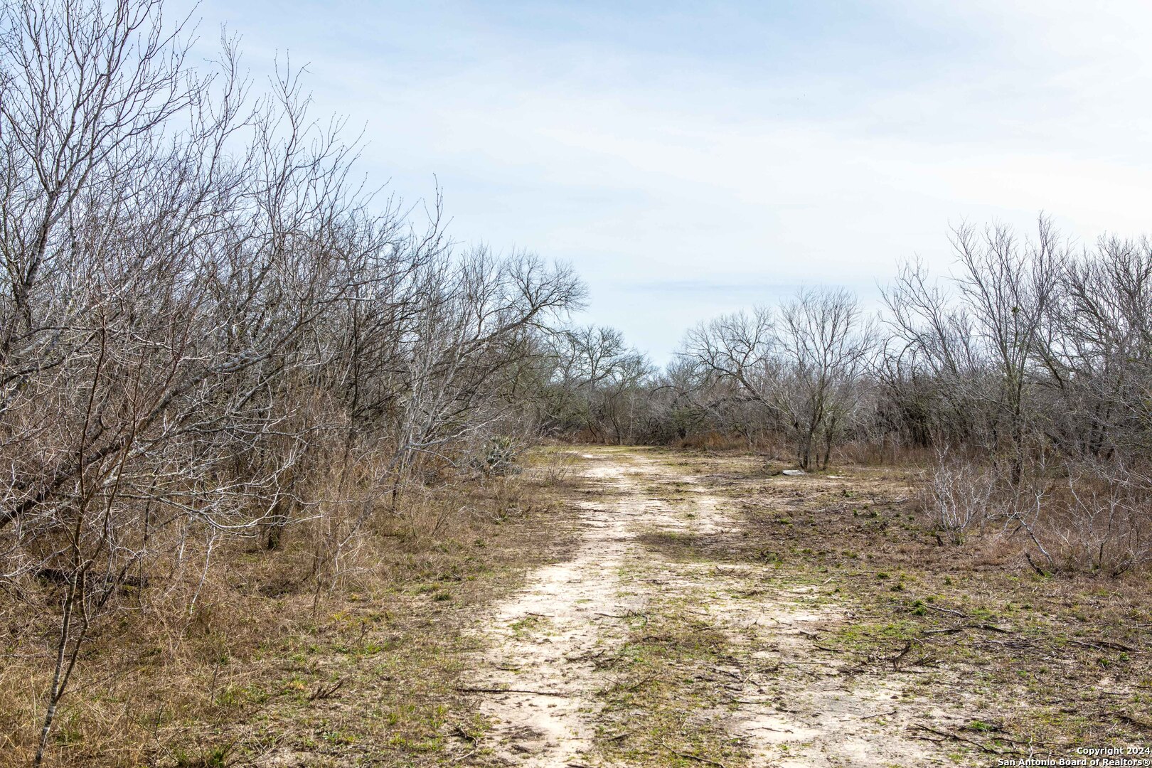8684 Mineral Cemetery Road Beeville, TX 78102 - Photo 6 of 38 a view of a dry yard with trees