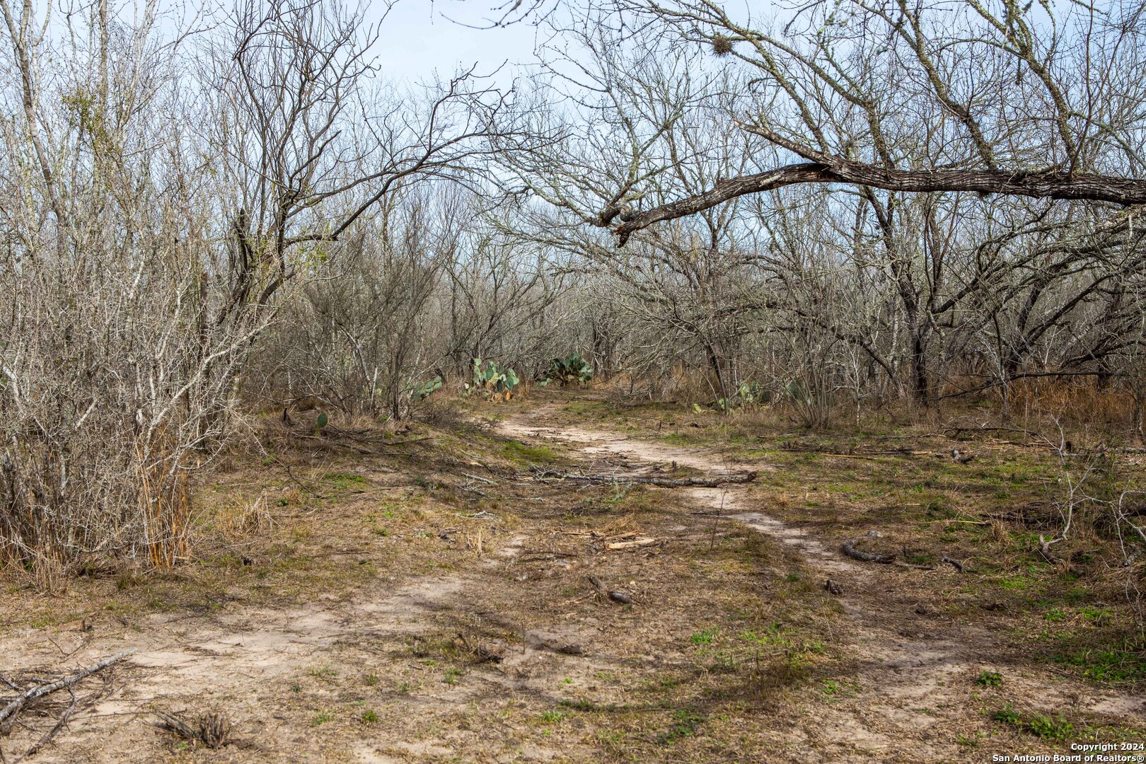 8684 Mineral Cemetery Road Beeville, TX 78102 - Photo 7 of 38 a view of backyard of house