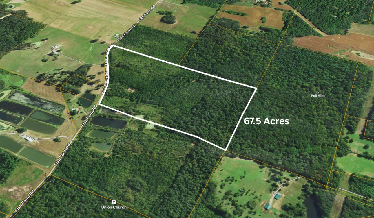 70 Fish Farm Road Golconda, IL 62938 - Photo 12 of 19