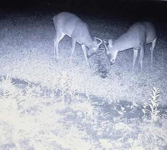 $4,750,000 | 849 Mt Bess Road, Charleston, VT 05872