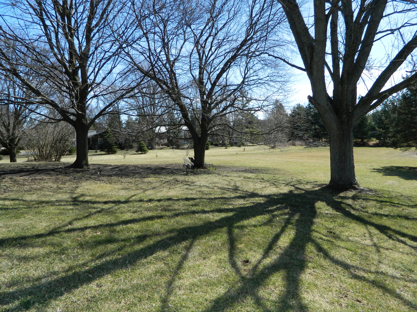 36W601 Red Gate Road St. Charles, IL 60175 - Photo 3 of 24