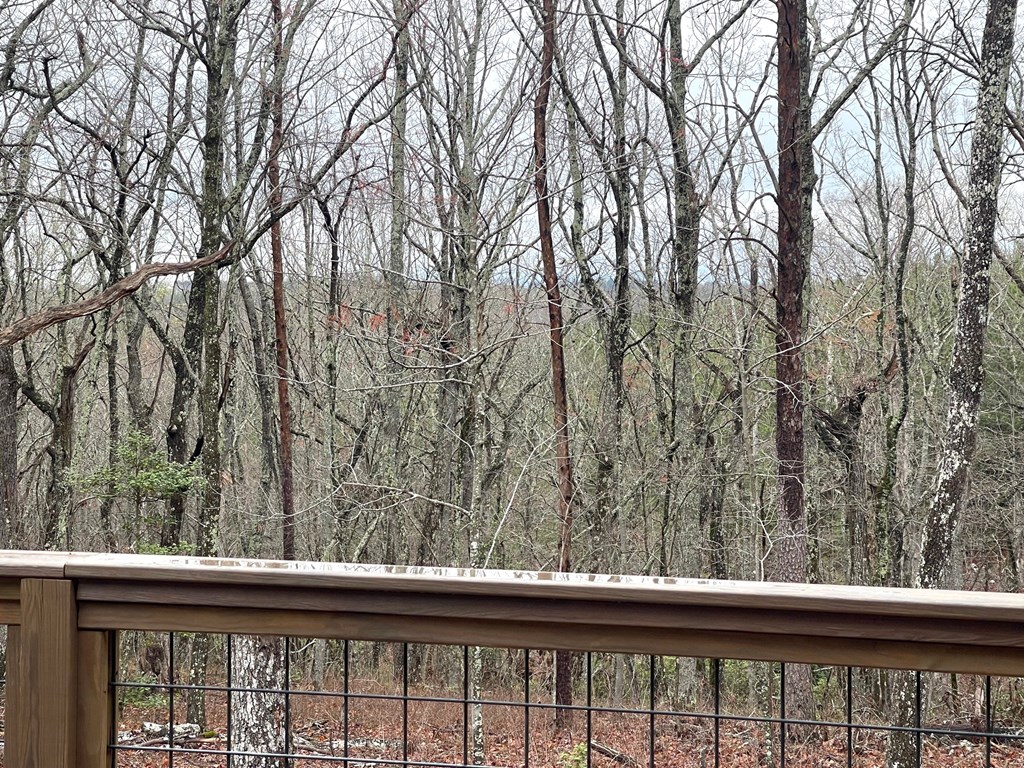 400 Mulberry Circle Jasper, GA 30143 - Photo 72 of 92