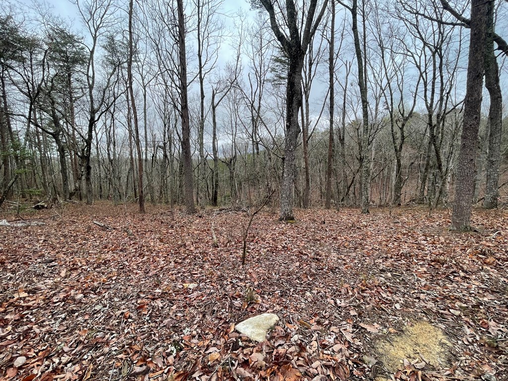 400 Mulberry Circle Jasper, GA 30143 - Photo 83 of 92