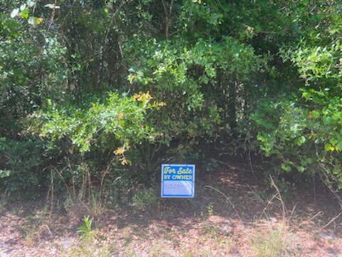 Tbd Kentucky Road Mount Dora, FL 32757 - Photo 3 of 4 IMG_8871