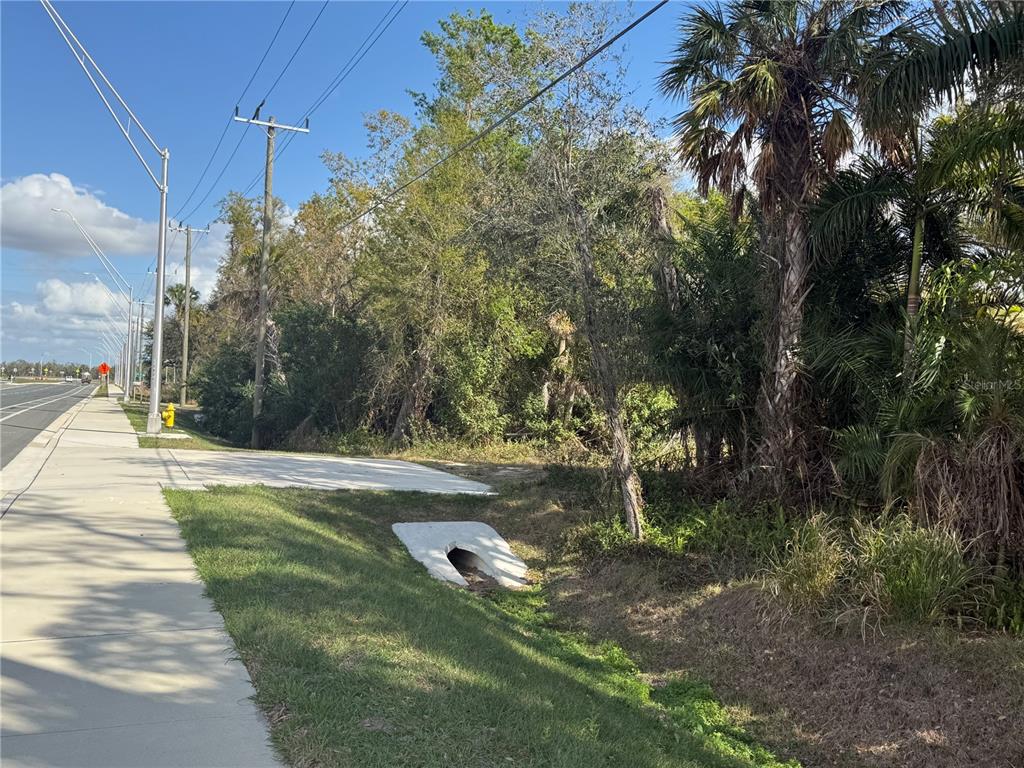 11959 Moccasin Wallow Road Parrish, FL 34219 - Photo 3 of 12