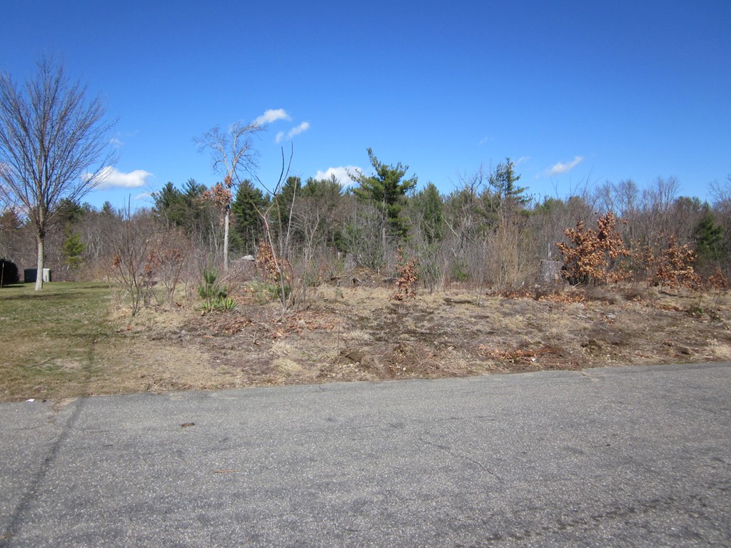 Lot B Lot B Woodland Road Springfield, MA 01129 - Photo 1 of 2 Gallery Image 1