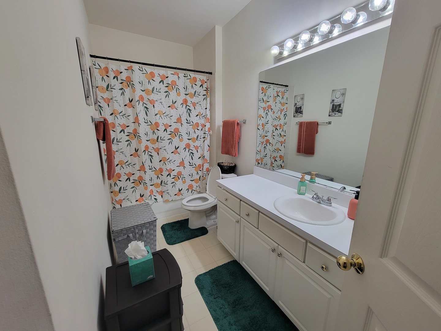 1343 Providence Circle Elgin, IL 60120 - Photo 5 of 5