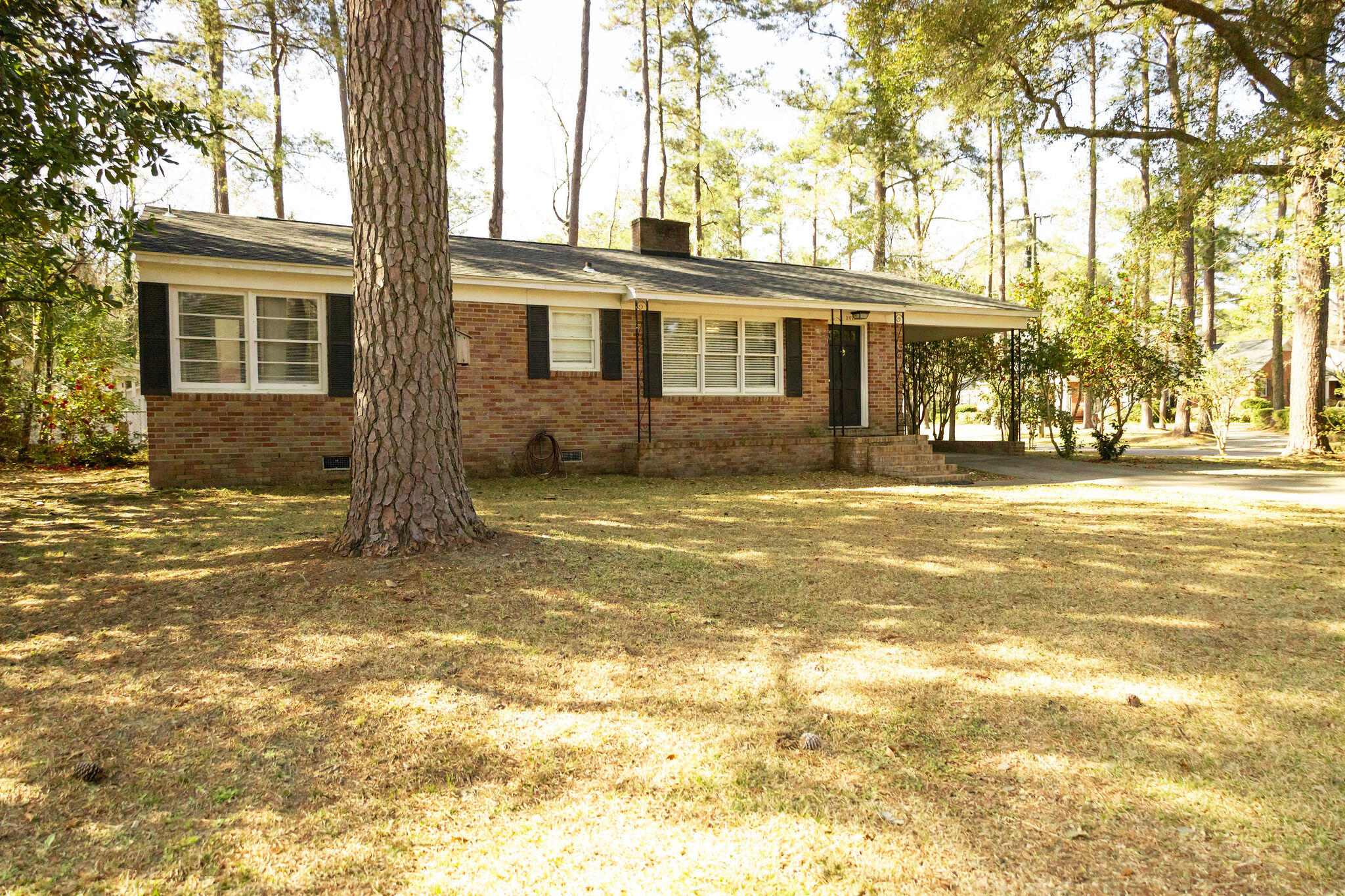 202 Churchill Road Walterboro, SC 29488 - Photo 3 of 47 3T6A1519